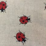 strofinaccio coccinella ANNAMARIA