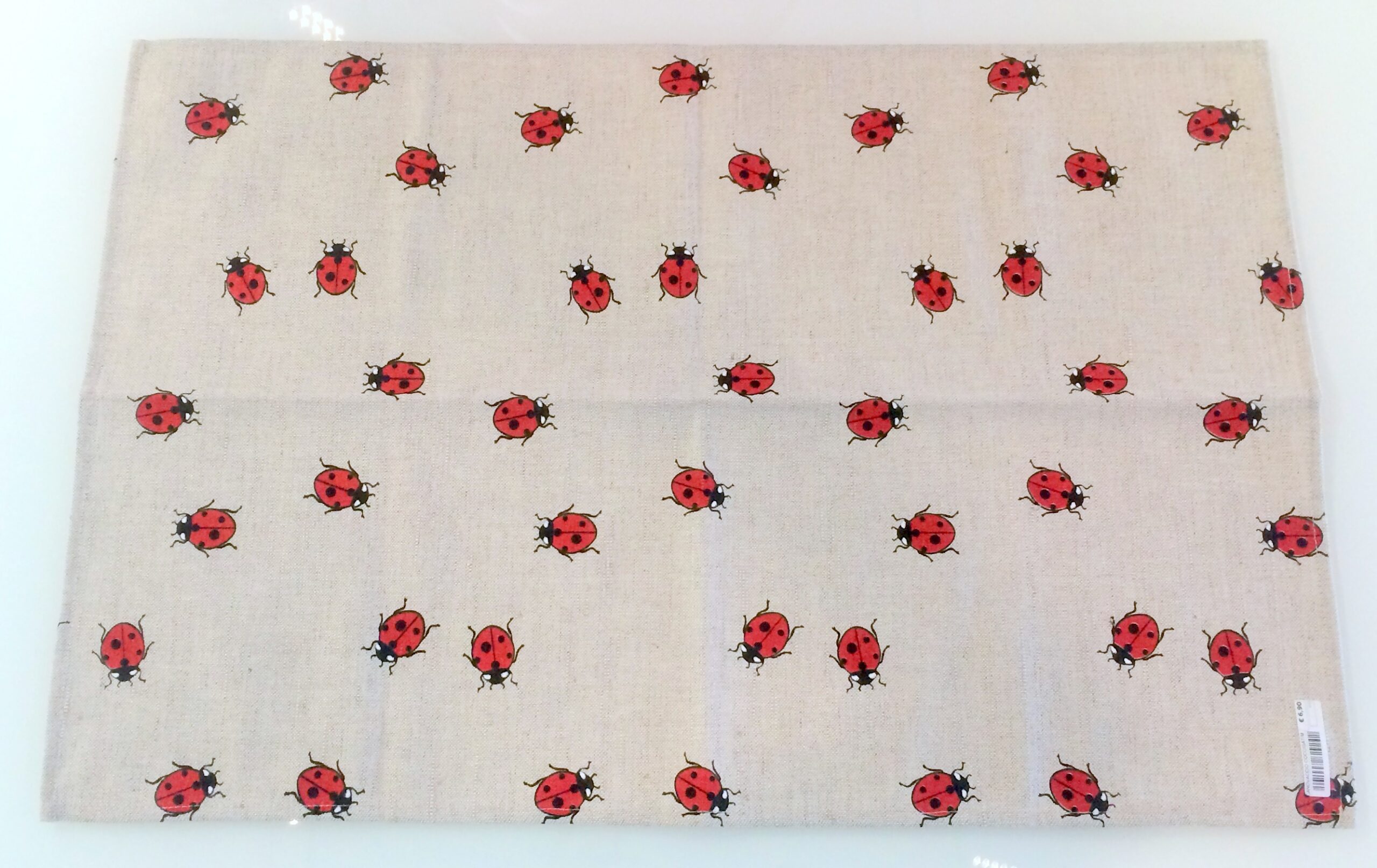 Strofinaccio coccinella di ANNAMARIA