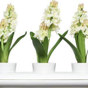 Vasi per piante aromatiche Hold di Sagaform