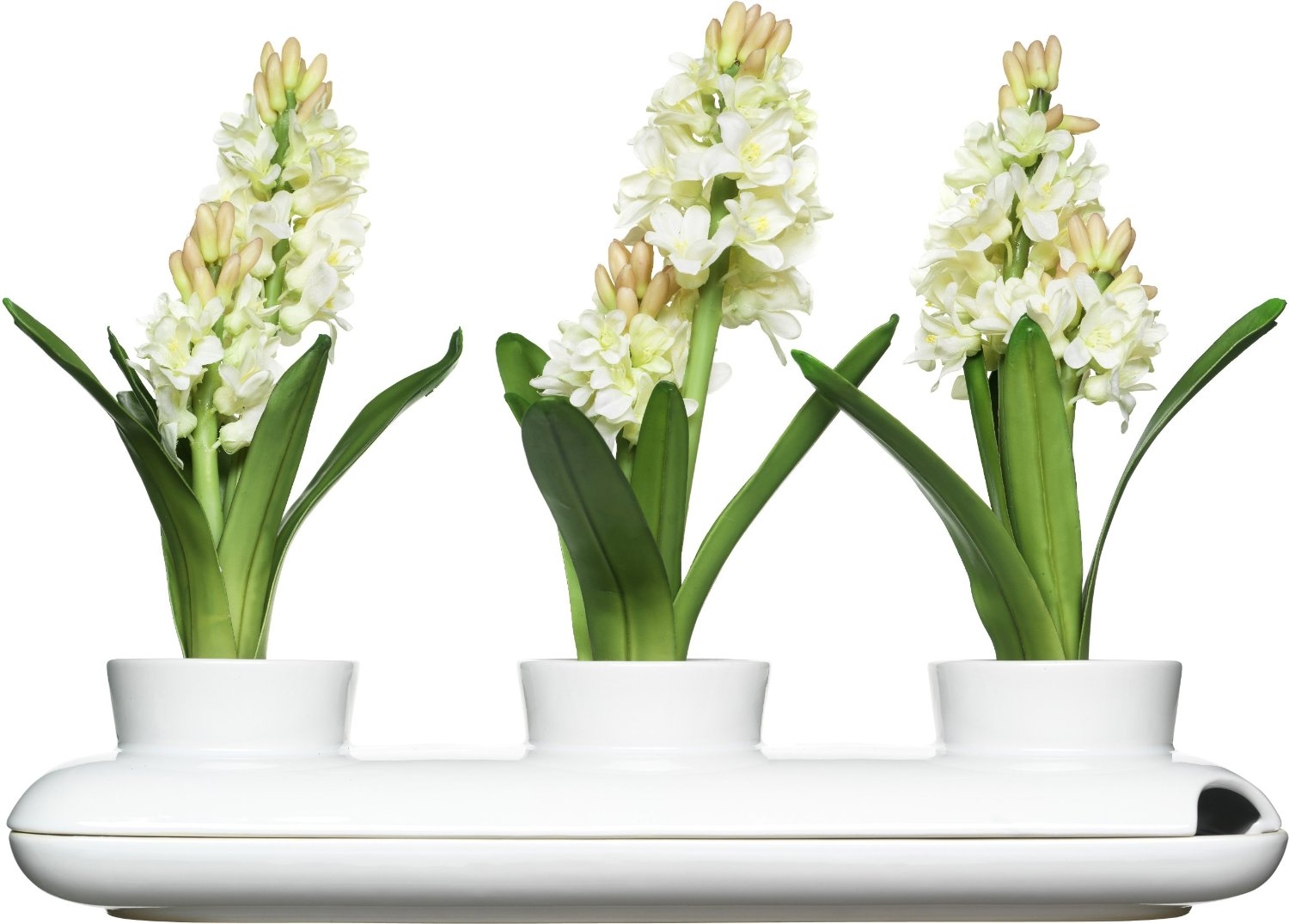 Vasi per piante aromatiche Hold di Sagaform