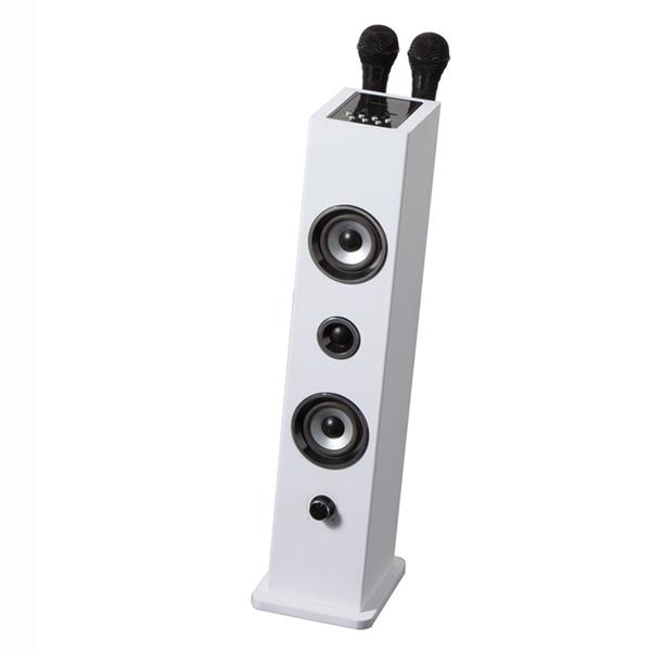 Torre Karaoke Sound Tower 10 W di Brandani