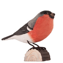 Uccello decorato Bullfinch di Wildlife Garden