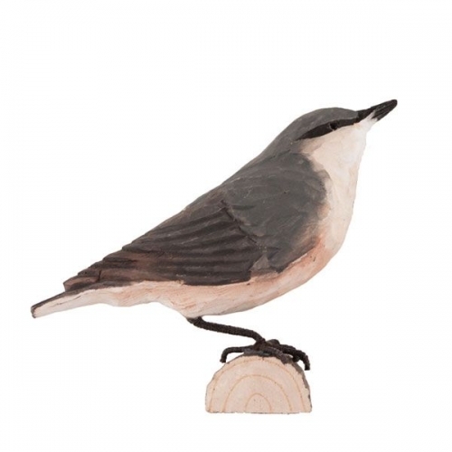 Uccello decorato Nuthatch/Picchio di Wildlife Garden
