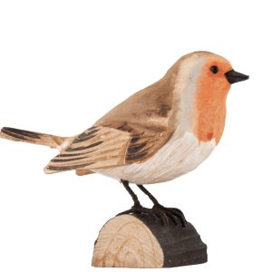 Uccello decorato Robin di Wildlife Garden