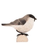 Uccello decorato Marsh Tit di Wildlife Garden
