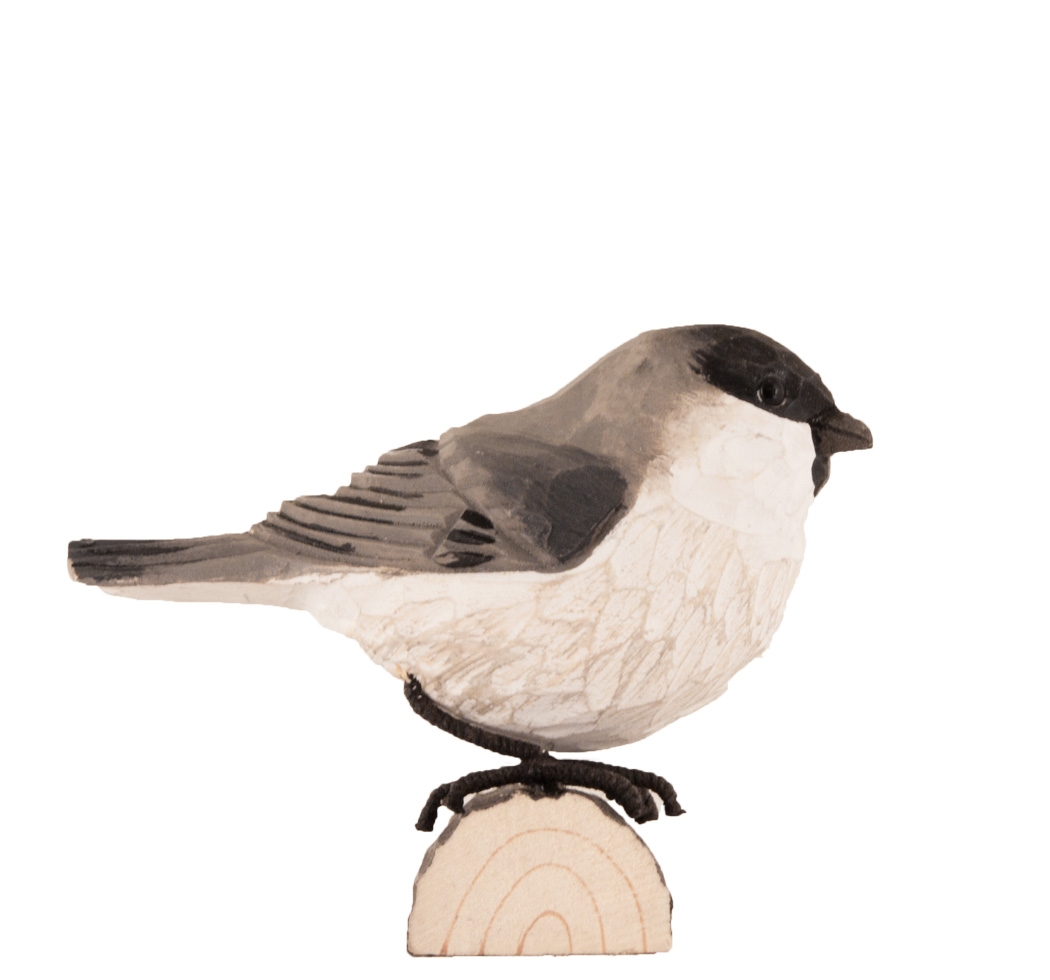 Uccello decorato Marsh Tit di Wildlife Garden