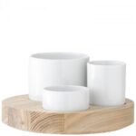 Set Antipasti/Olive e Pinziomonio Lotta di LSA International