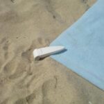 The Beach Towel Clip
