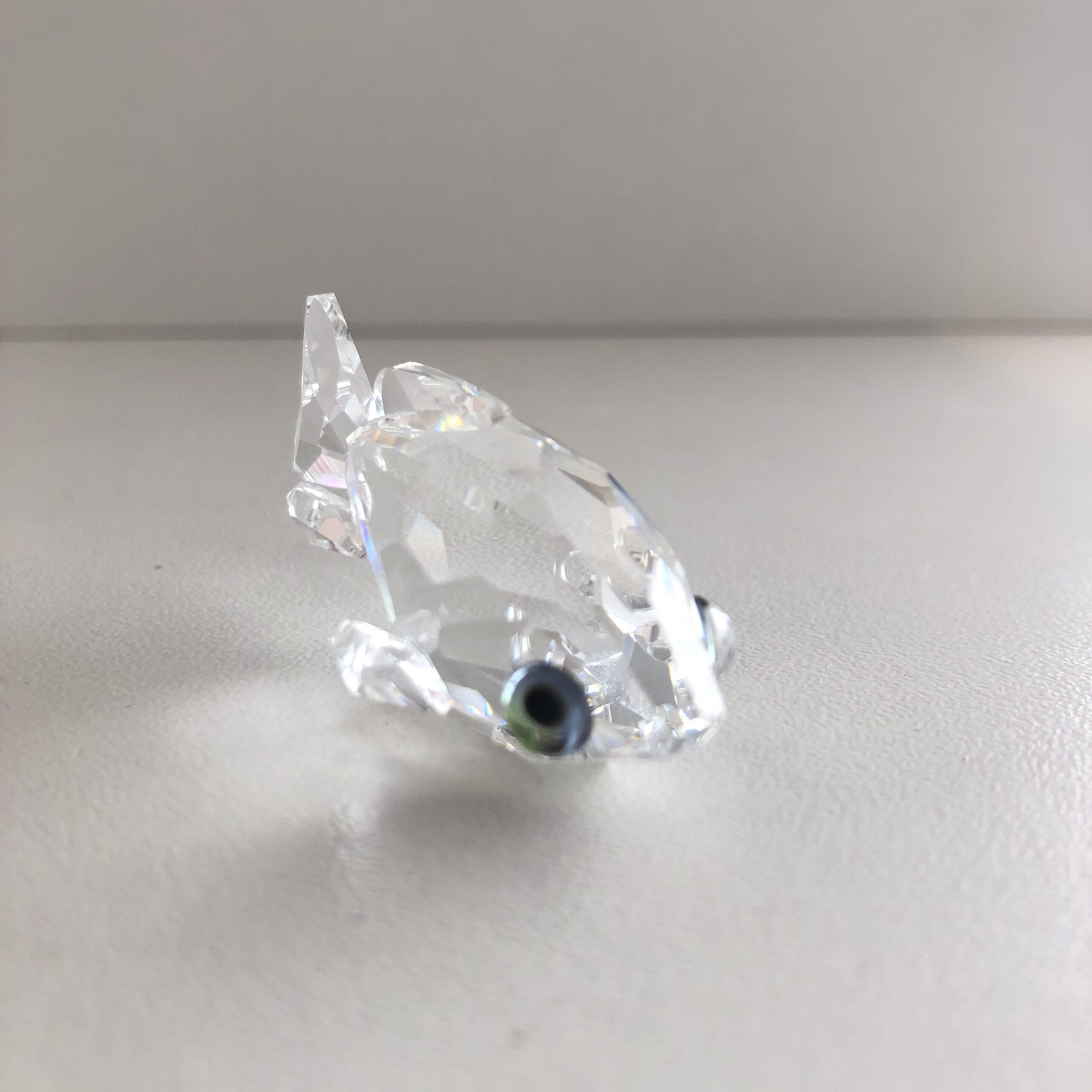 PREZZO SPECIALE: Carpa Swarovski