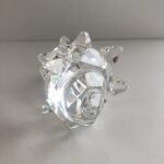 Chiocciola di mare Swarovski